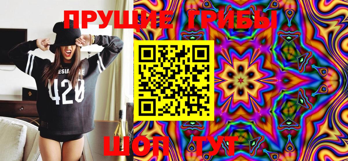 Галлюциногенные грибы Cubensis Дзержинский