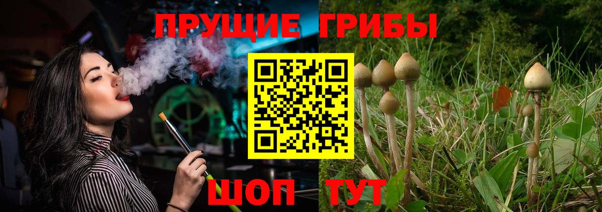 Дзержинский  купить наркотики цена  Галлюциногенные грибы Psilocybe  Вход с VPN  Галлюциногенные грибы прущие грибы 